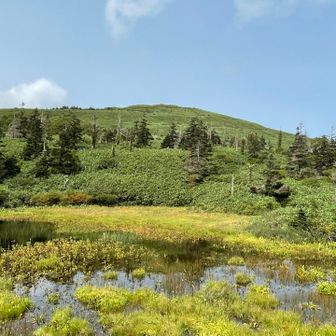 ここからの景色最高！最高！