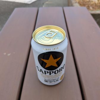 バス停前のデイリーヤマザキで缶ビールを買い、バス停ベンチで下山ビールの儀。