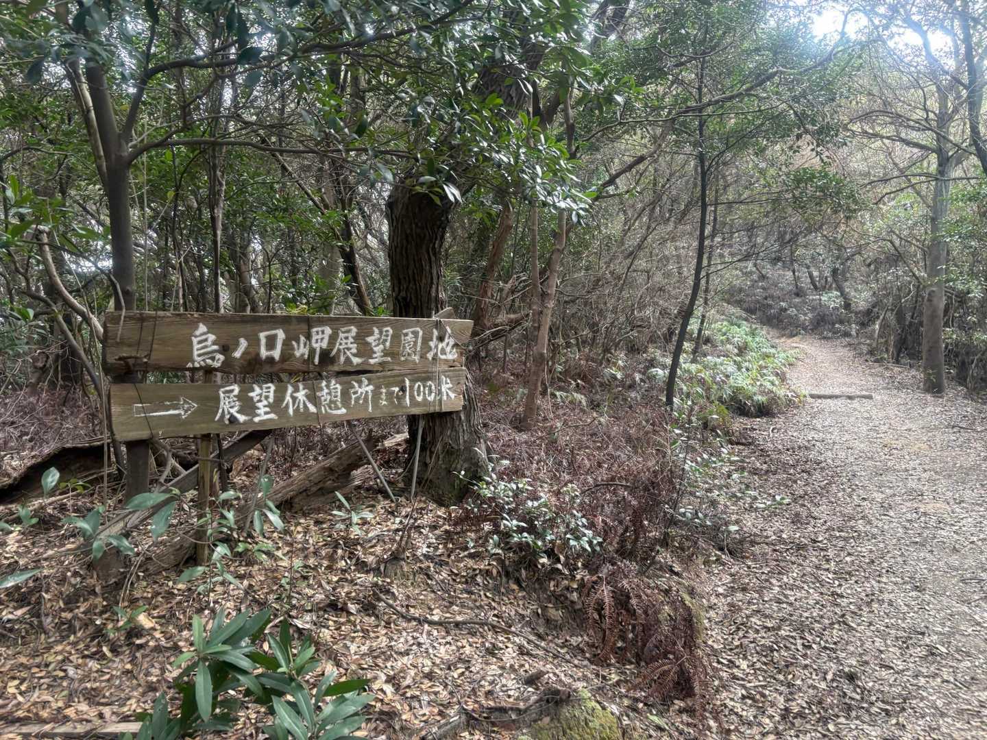 烏ノ口岬展望園地の案内が　見えたので
1人で行ってみました🚶