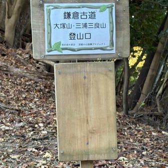 もうひと頑張り！