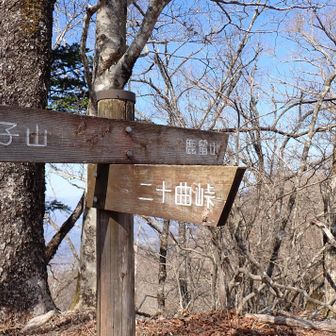 さらに尾根上を進み、鹿留山へ。
後でここに戻り、二十曲峠へ下山する。