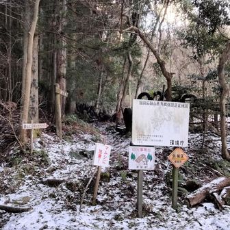 保井野登山口から3km 1000m up　挑戦！雪のなか大丈夫か？