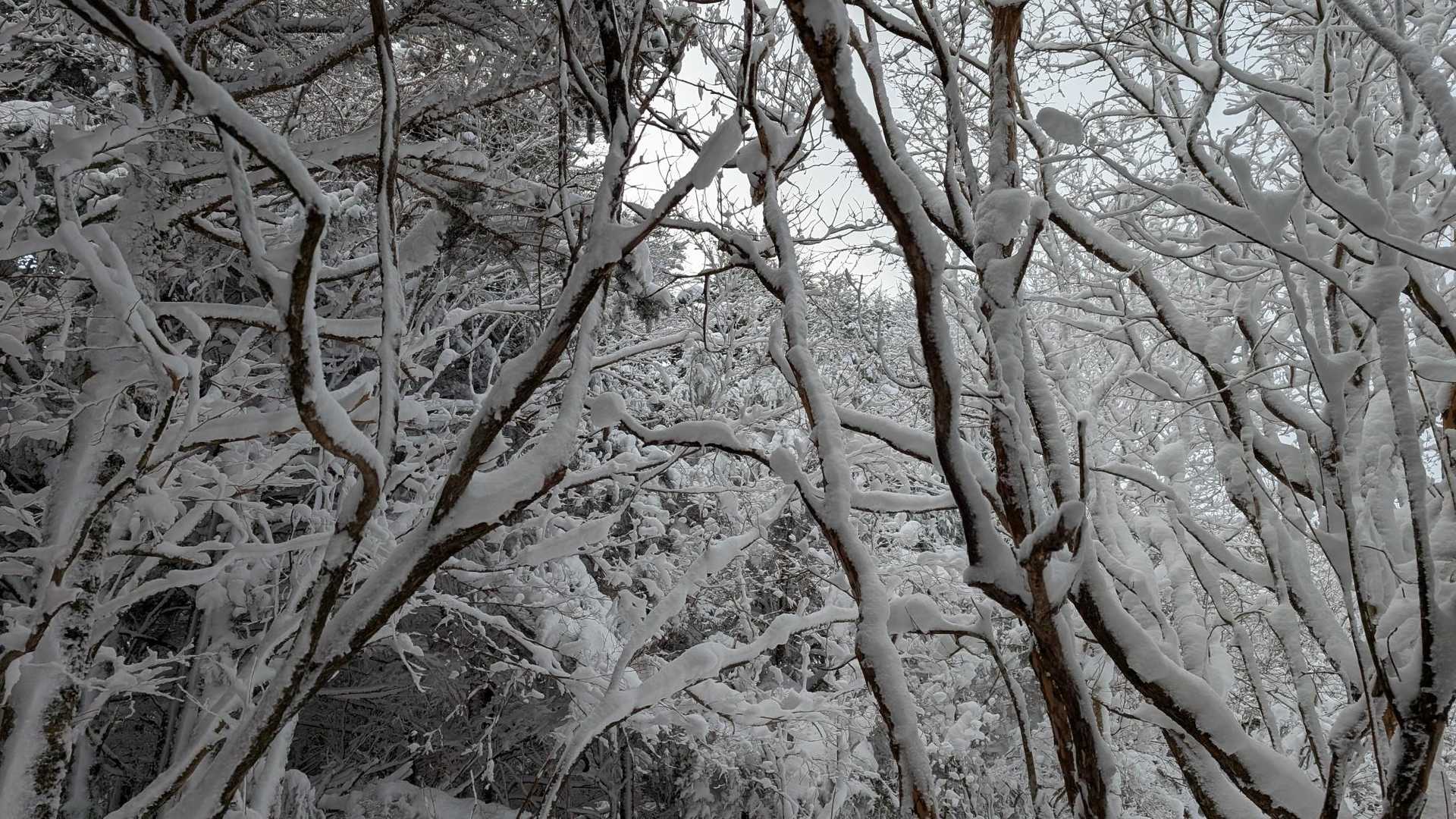 これで青空だったらいいんですが。