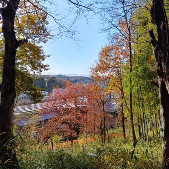 富士山撮ったのに…まぼろしだったのか…ダイヤモンド💎富士も見れるのね。