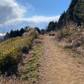 さらに山頂広場広い。お鍋してる家族いました