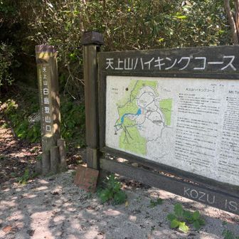 白島登山口6号目まで戻ってきました
トイレあり