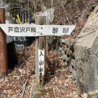 入山峠に到着、ここから降り基調の山道へ。