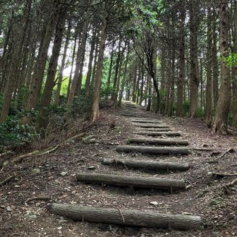 米の山に向かう道。
好き好き🥰このカーブ具合と登り具合。