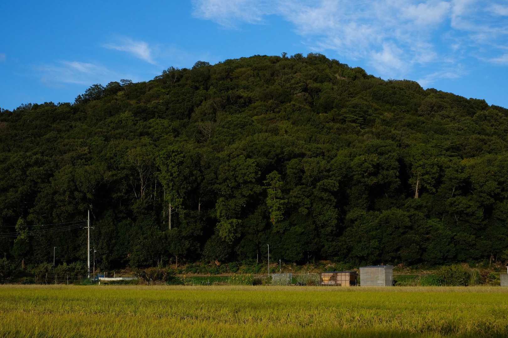 大和三山、ありがとう

歩いて大和八木駅に戻ります