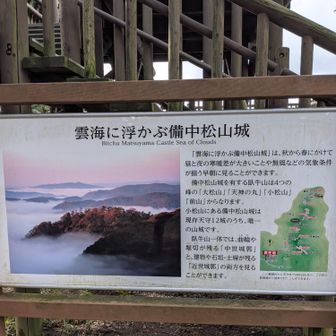 日の出前に来ると看板の雲海が見れたかも🤔