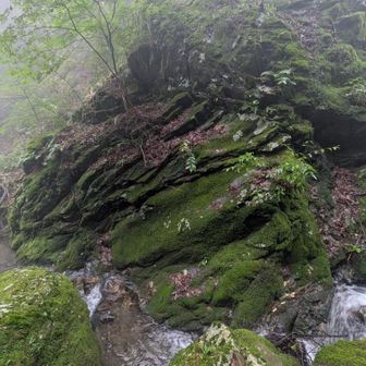 岩の地層