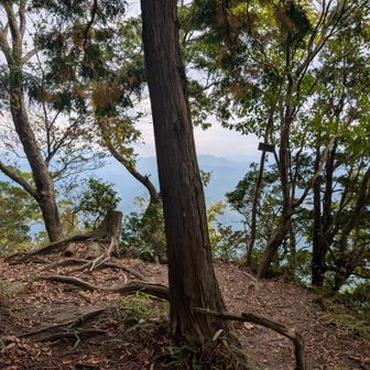 一の塚、山頂
　後アップダウン繰り返して渡れるんだけど…時間が無いのでこれで下ります🎶