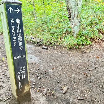 0.5合目
そこそこ距離歩いた気がしますが標高は上がってないようです