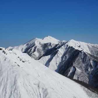 白毛門もすげー