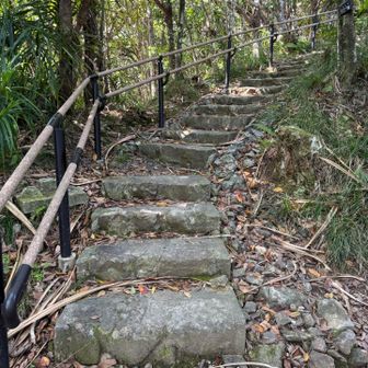 分岐まで戻りいよいよ目的の中央山へ。