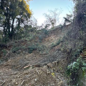 土砂崩れの様子やで🐼

歩行は可能ですよてくてく🉑