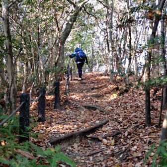 次の山頂直下は根っこの道を登り‥。