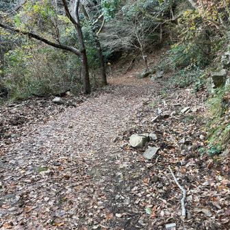 林道をズンズンと
結構あります