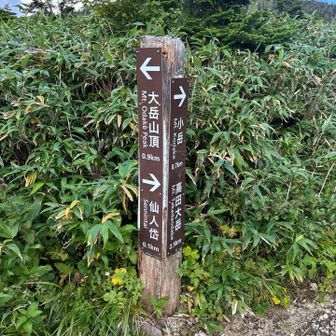 行ってみたいな右の道