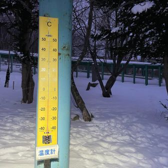 汗をかかないと思ったら、マイナス8℃！！
今朝はとても冷えてました🥶