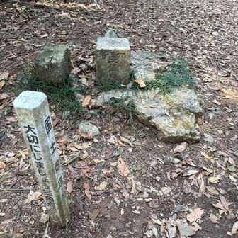 一等三角点も。
ここで点の記の話題が出て、映画見てみたいなと思いました。TSUTAYAで借りるか🎞️