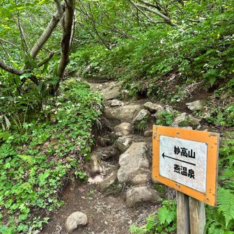 降りて来ました
休憩して
高谷池ヒュッテに向かいます。