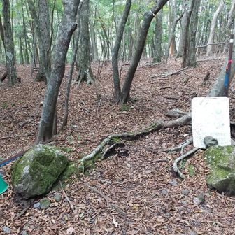 川沿いの登山道 入り口。今回は林道を行きました。