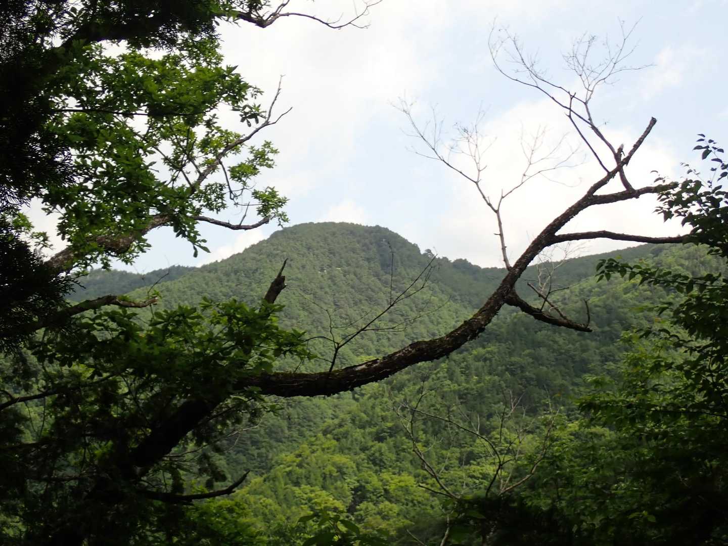 蛸坊主の頭が見えるところだけ展望がありました。