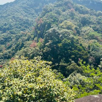 太郎途中からの次郎丸嶽、凄い特徴的な山の形で遠くからでも次郎丸嶽てわかりますね😉
