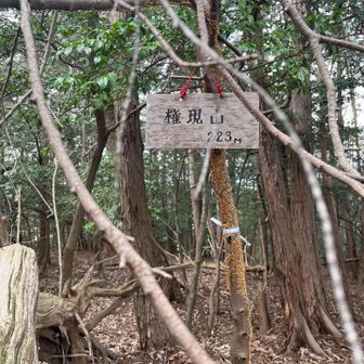 ラストボス
権現山山頂
ここから往路に通った未認定牛洞山まで上り返して峠まで下山します