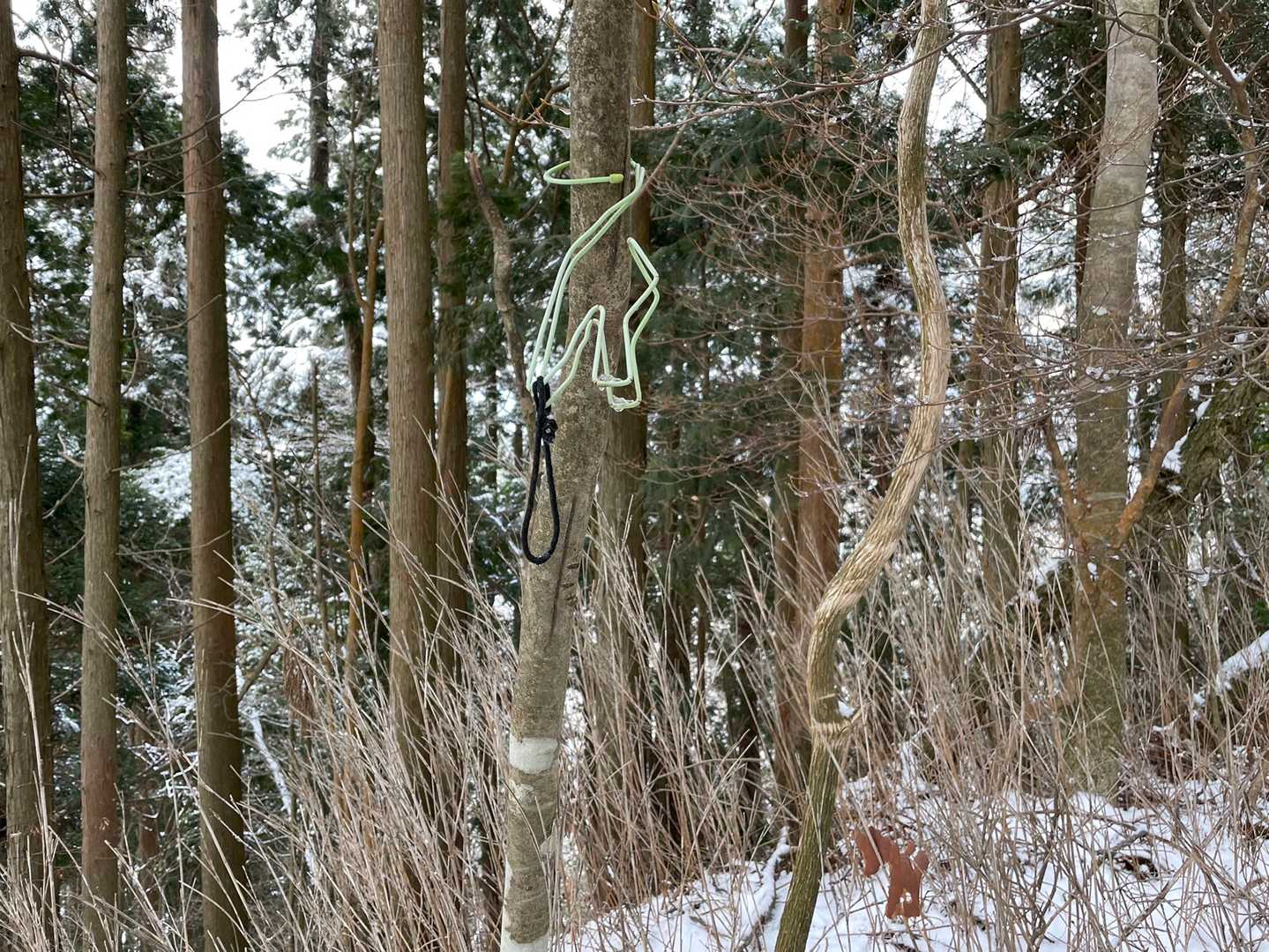 十八丁山山頂
眺望はありません