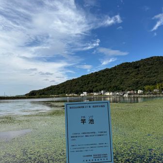 スタート時は天気よかった☀️