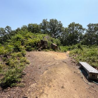 本丸跡へ