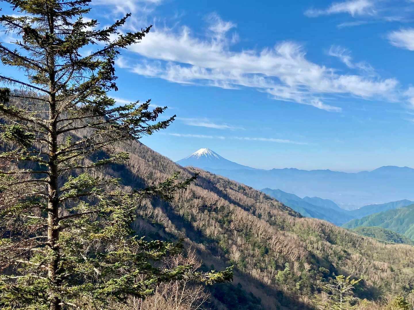 登っていくと、富士山が、