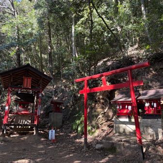 鳥のさえずりと木漏れ日が気持ちいい😊