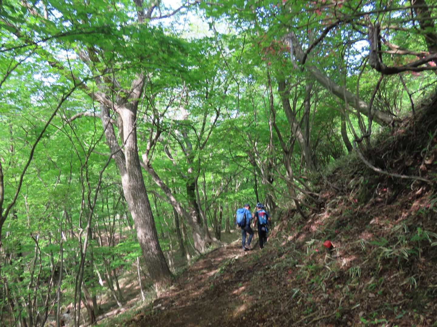登山口は目の前。