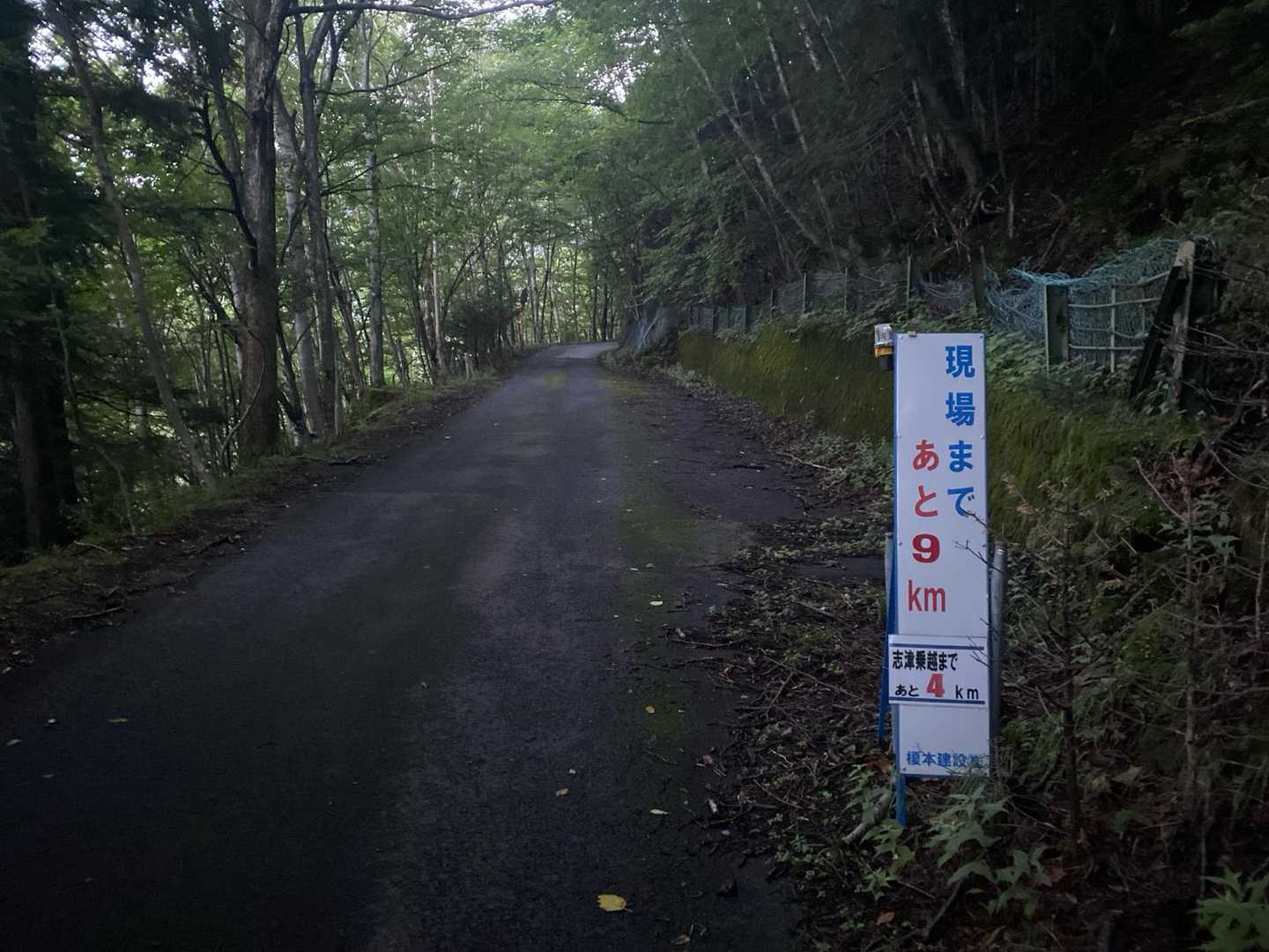 現場って見ると踊る大捜査線思い出しがち