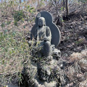 たくさんいらっしゃいました