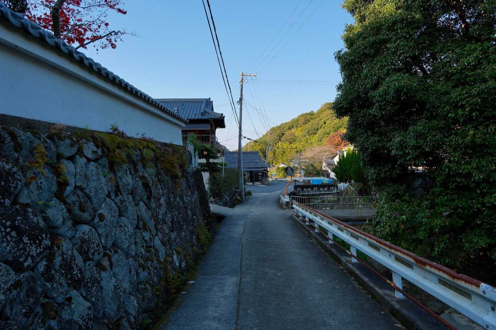 塔原バス停が前方に見えてきました

残念ながら本命会えずでしたが
(追加します本命の♀は居た)
ムギマキ♂とブナ林の黄葉紅葉🍁見られたのが収穫でした(^^)v
