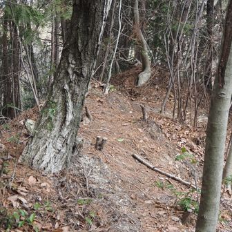 同　山頂の様子　ここで登山道は90°屈曲する。