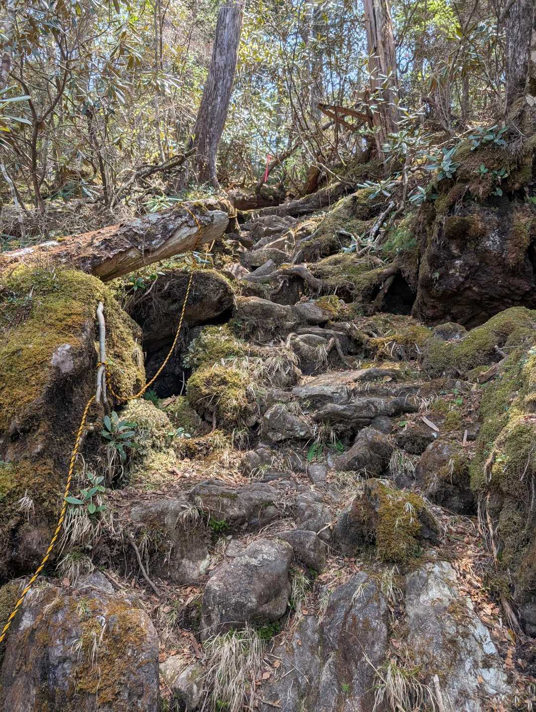 白髪山登山口-白髪山 往復コースの写真