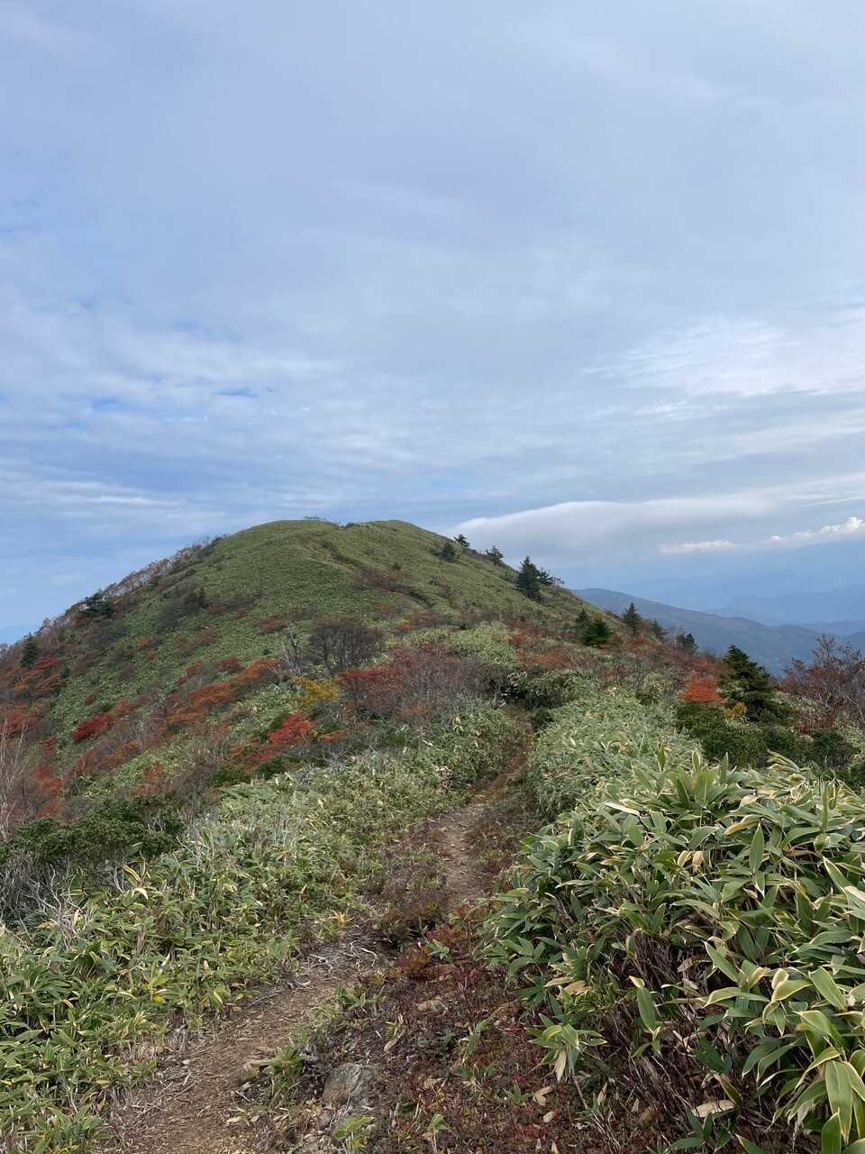 川上岳の写真