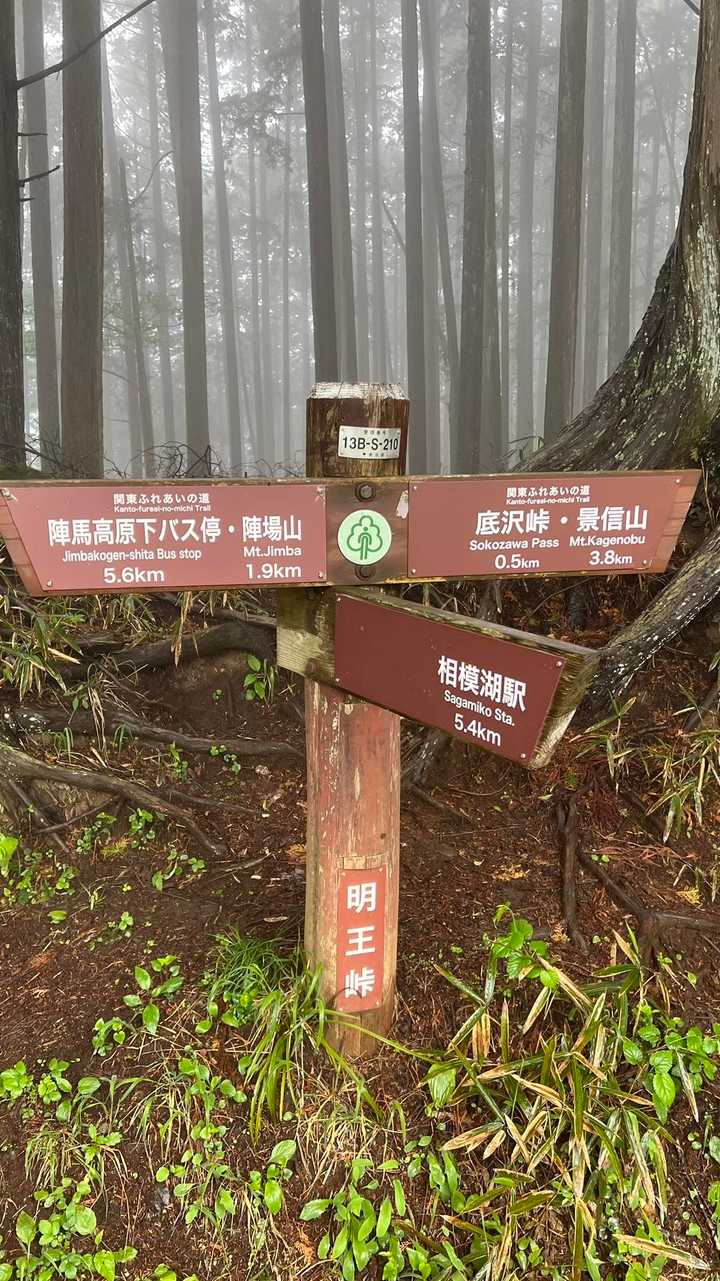 陣馬山・景信山縦走 の写真 10