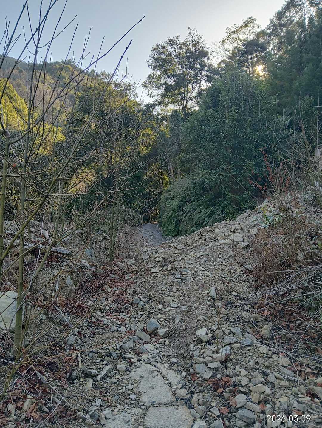 その先も土砂崩れあります
なかなかワイルドな道(笑)