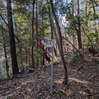 聖武連山から下山開始して、ここで尾根から下ってく。しばらく結構大変。