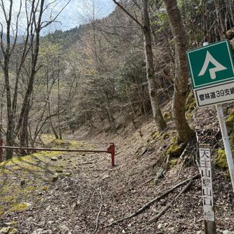 菅林道39支線。いったいいくつ支線があるの？