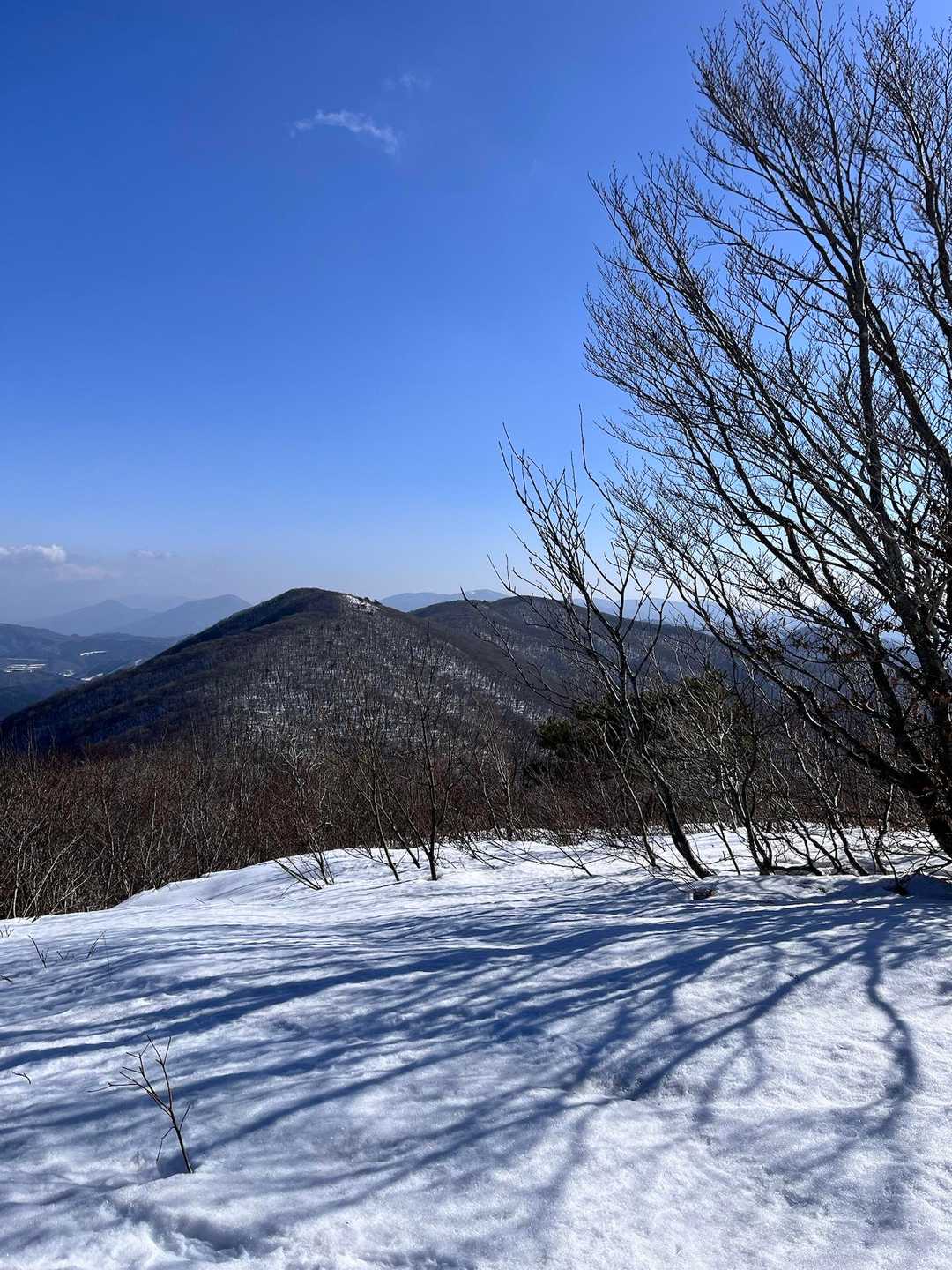 比婆山系は天気良しで
コチラは伊良谷山と牛曳山⛰️