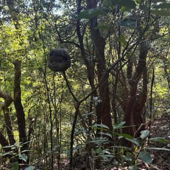 ぺこちゃん
怖いわ😱