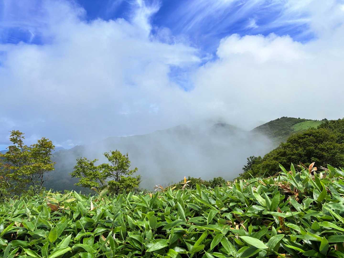 ②笠取山が チラッ✨