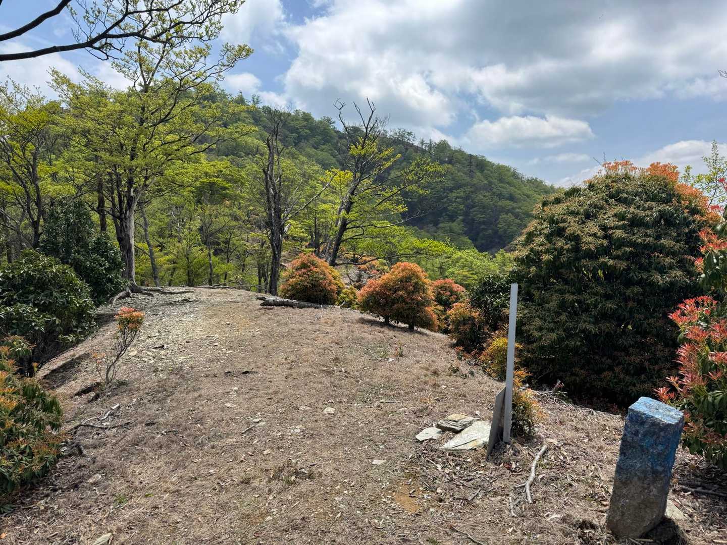大河内越-三方岳 往復コースの写真
